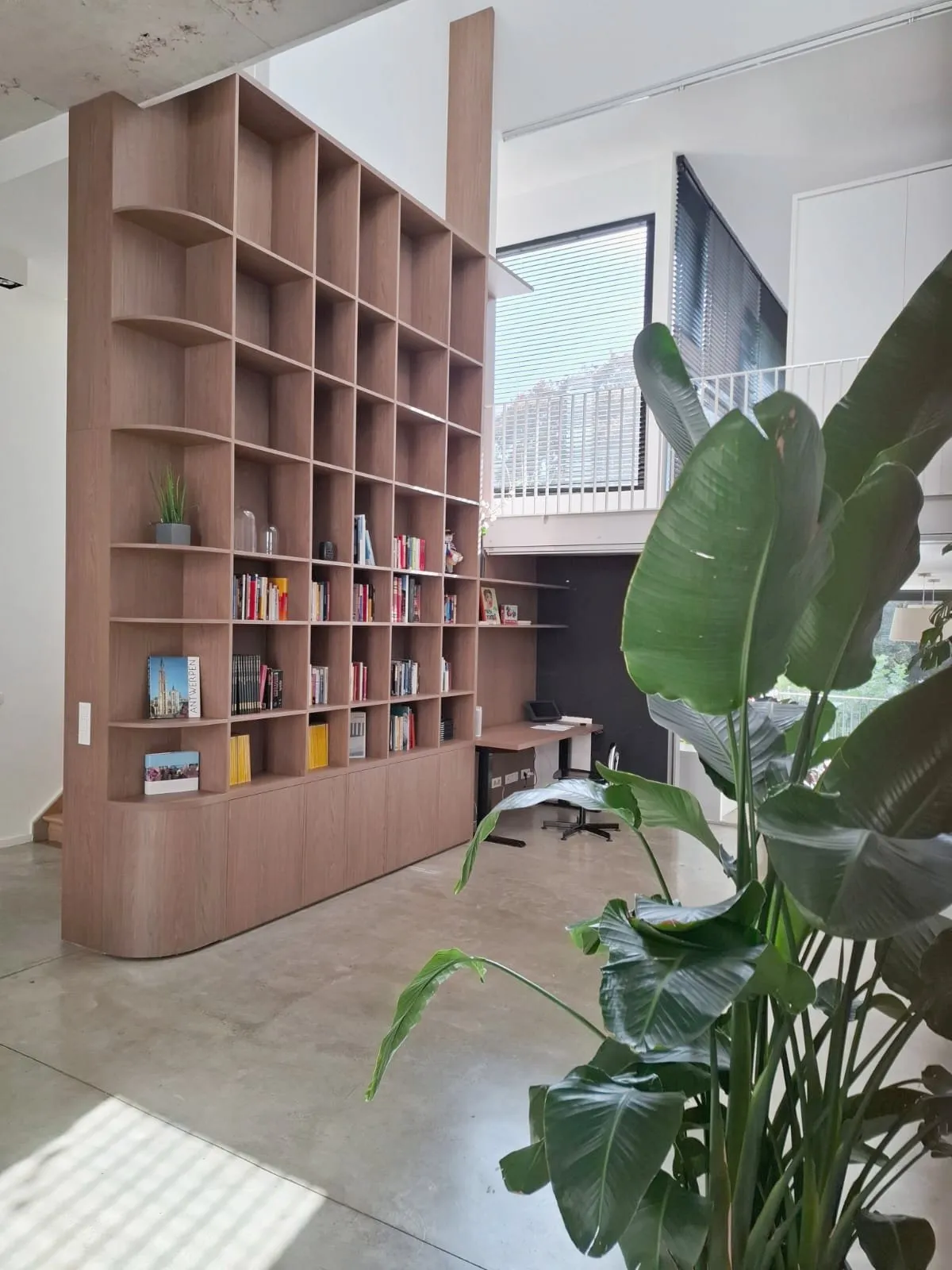 The oak bookcase rising through the loft, with a bird-of-paradise plant